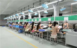 以“超级性感工厂”破局 一探商务信息咨询的颠覆性策略